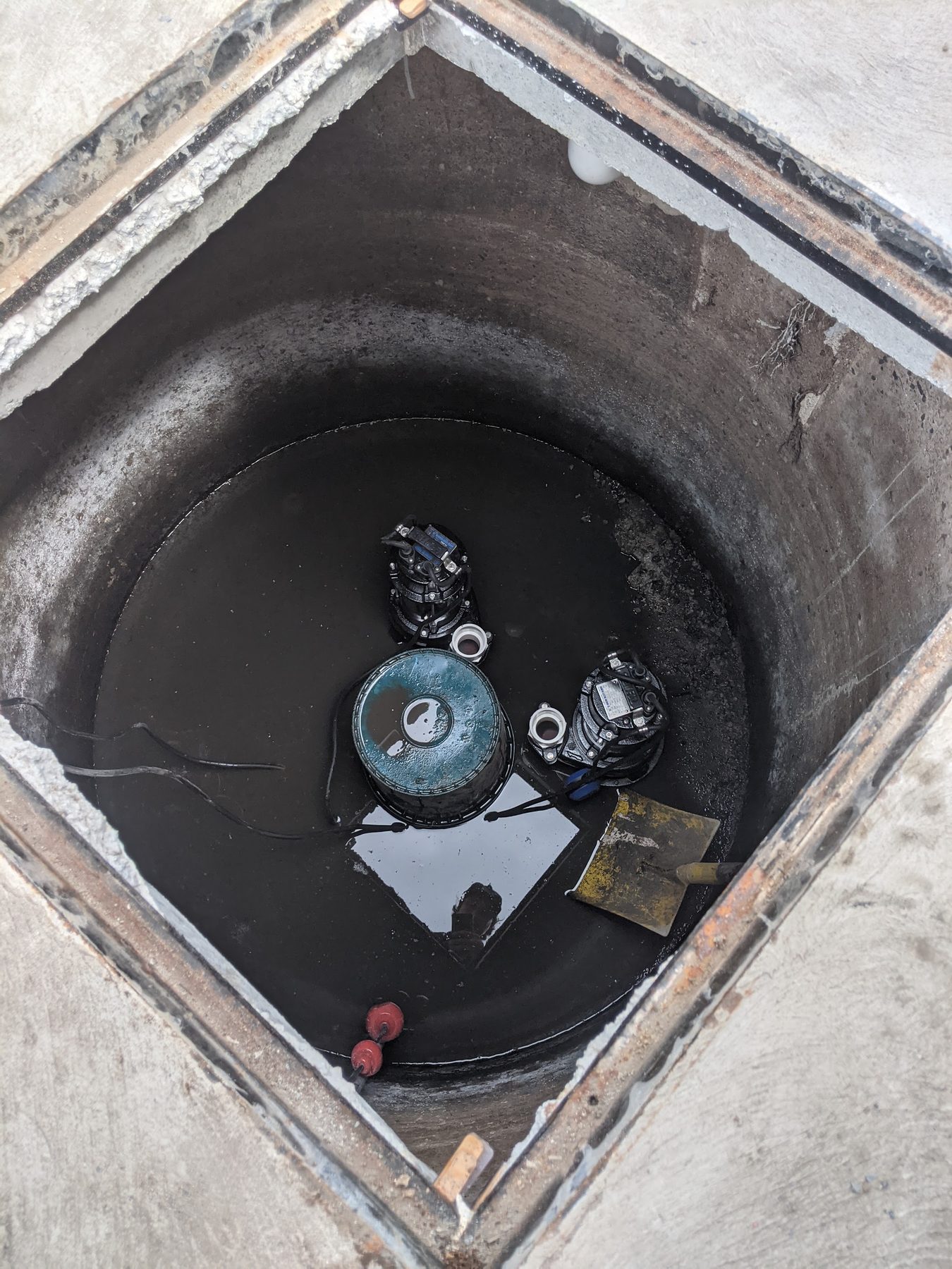 Twin pumps set into a wet well